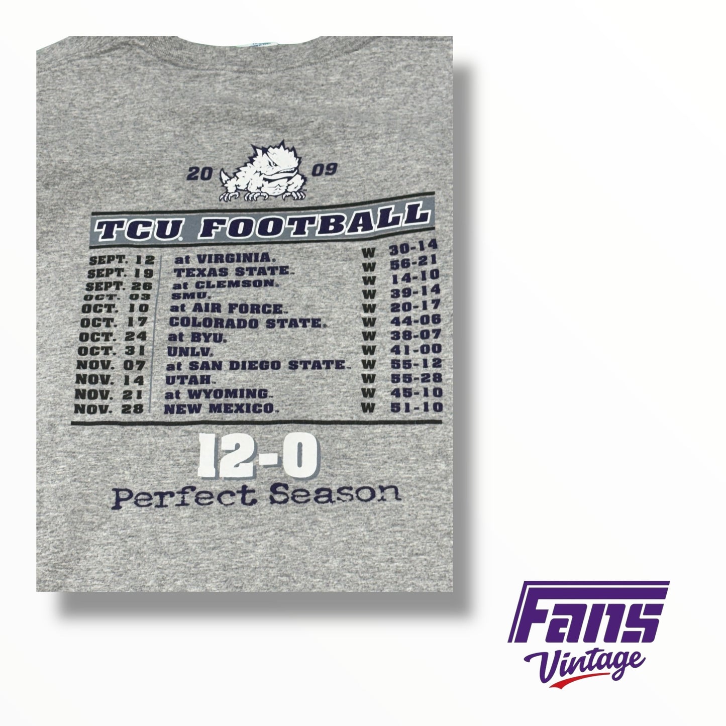 Vintage 2009 TCU Football Mountain West Conference Champions T-Shirt