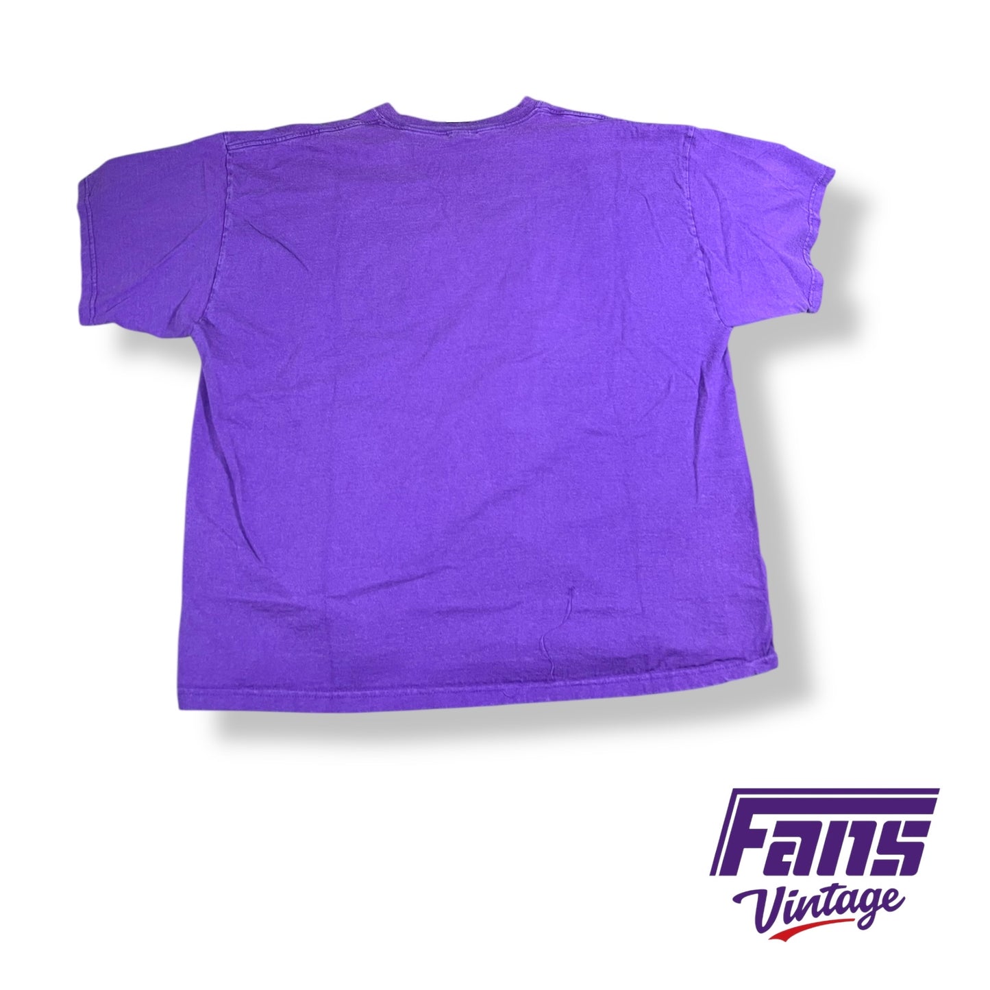 Vintage TCU Mountain West football champions shirt