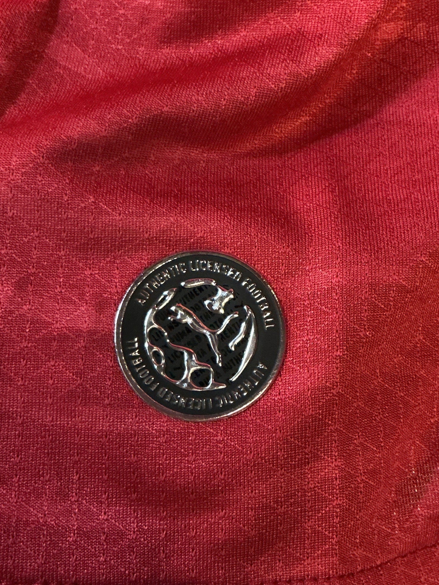 Portugal Premium World Cup Replica Jersey by Puma