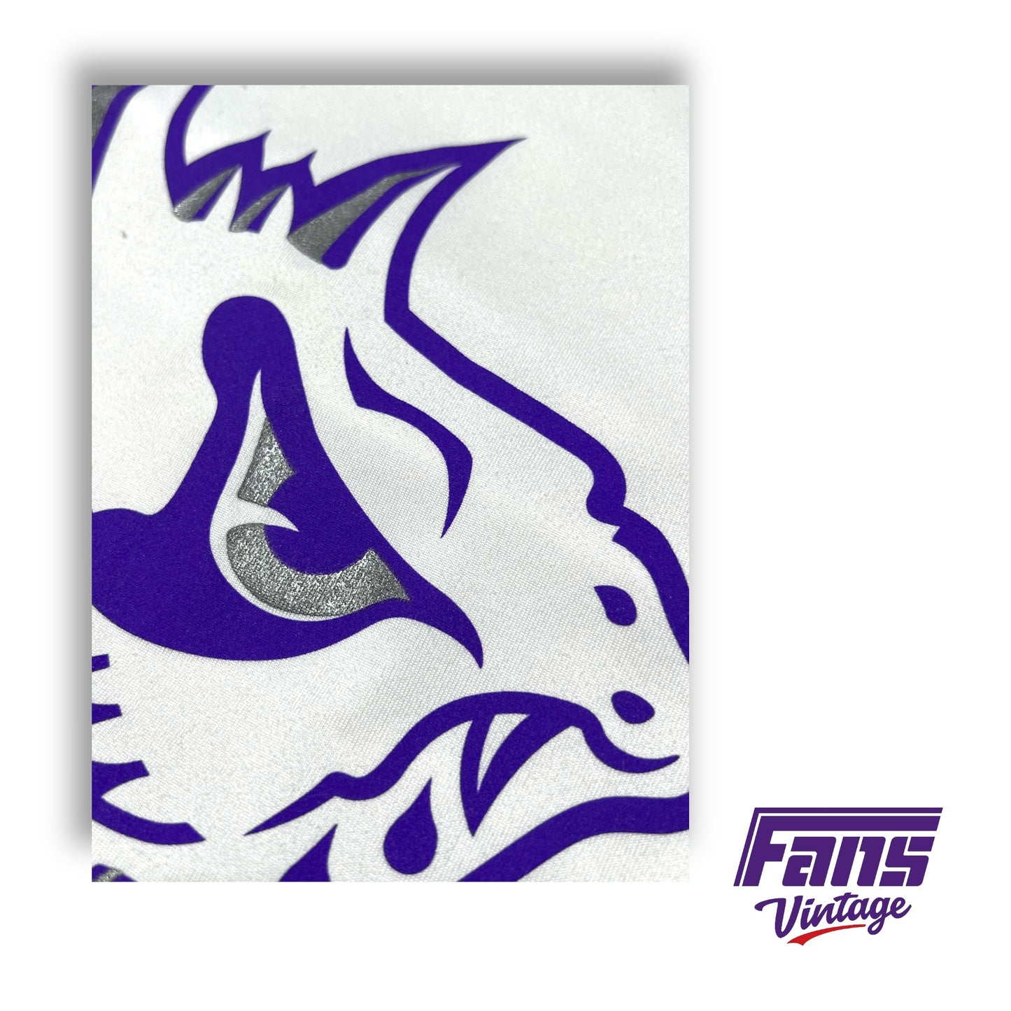 RARE! TCU Basketball Team Exclusive Throwback Frog Nike Drifit Tee in Silver / Purple Colorway