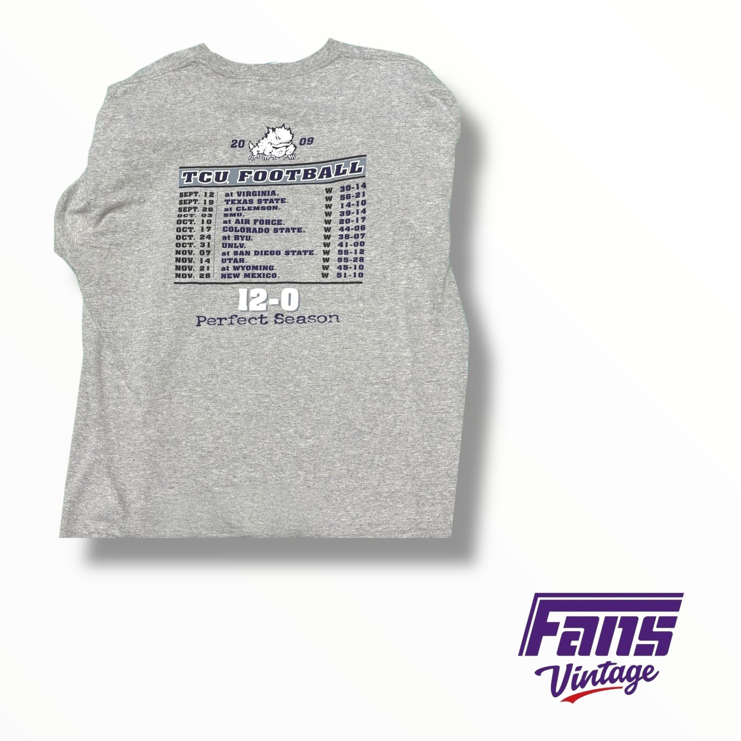 Vintage 2009 TCU Football Mountain West Conference Champions T-Shirt