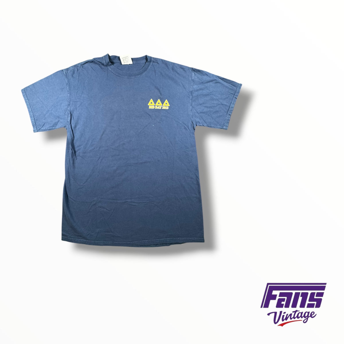 Vintage TCU Double Sided Sorority Tri Delta Cotton 2013 Bid Day Frog Fountain Tee