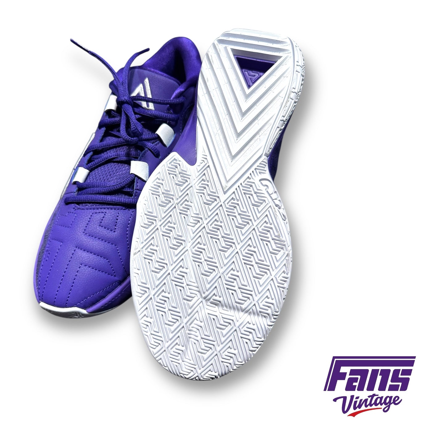 Giannis Freak 5 TB Promo "Court Purple"