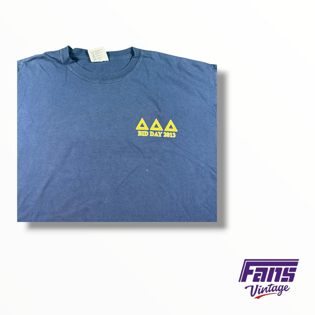 Vintage TCU Double Sided Sorority Tri Delta Cotton 2013 Bid Day Frog Fountain Tee