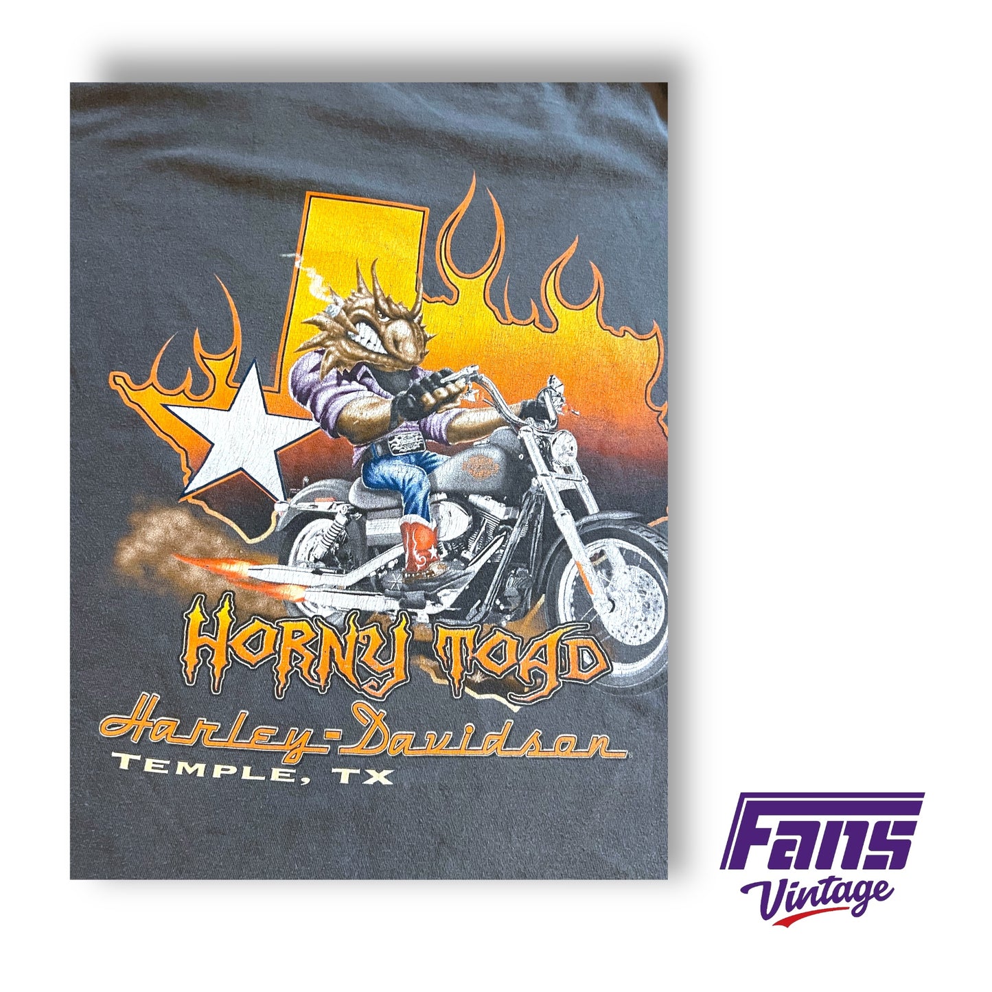 Horny Toad Harley Davidson Sick Doubled Sided Vintage graphic tee