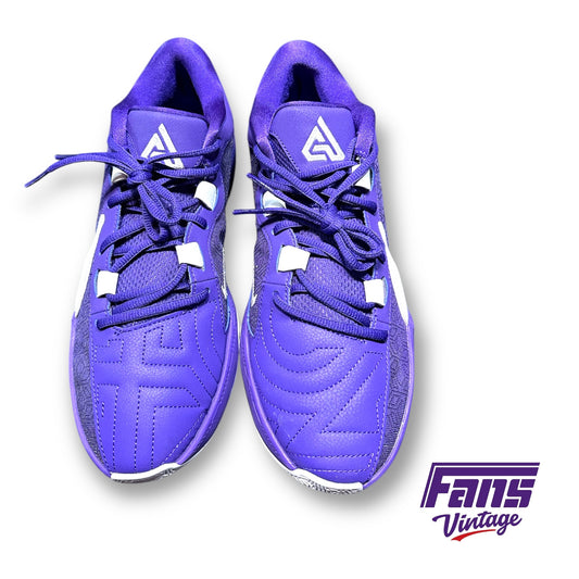 Giannis Freak 5 TB Promo "Court Purple" TCU Team Basketball Sneakers