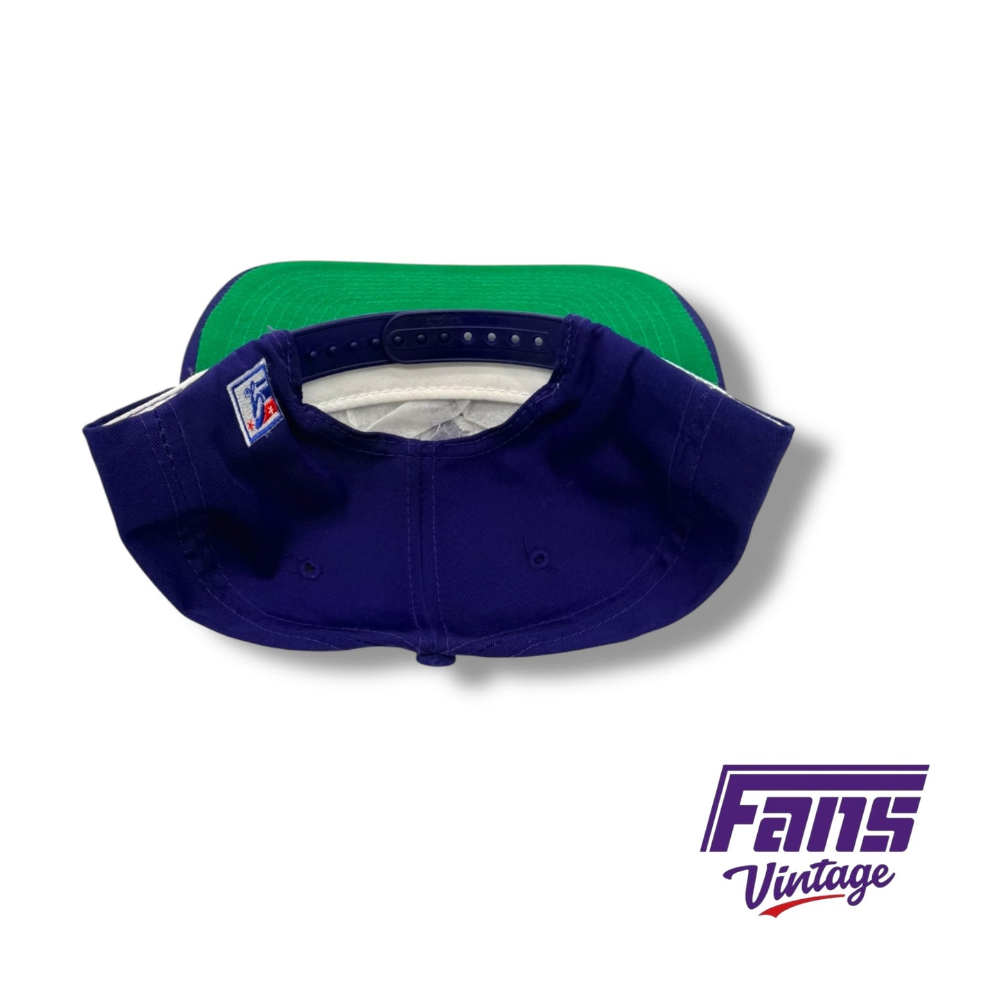 RARE 90s Vintage TCU early edition “The Game” 90s Split Bar logo SnapBack Hat