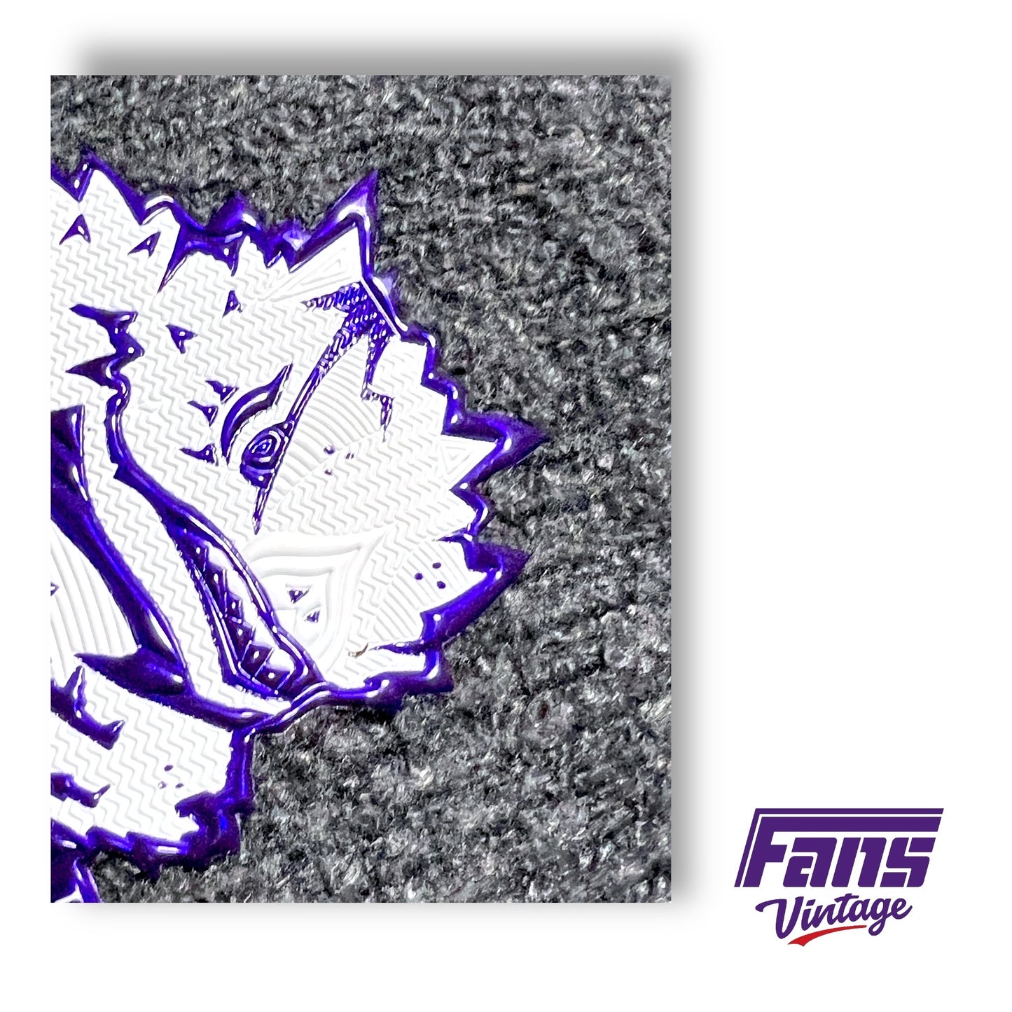 RARE! TCU Team Issued Woven Nike Beanie with Sick Metallic Frog Textured Patch - New!