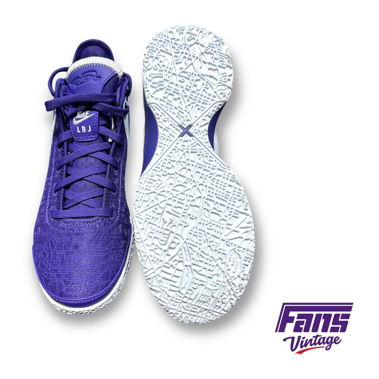 Zoom LeBron NXXT Gen TB Promo 'Team Purple’ TCU Team Exclusive Basketball Sneakers