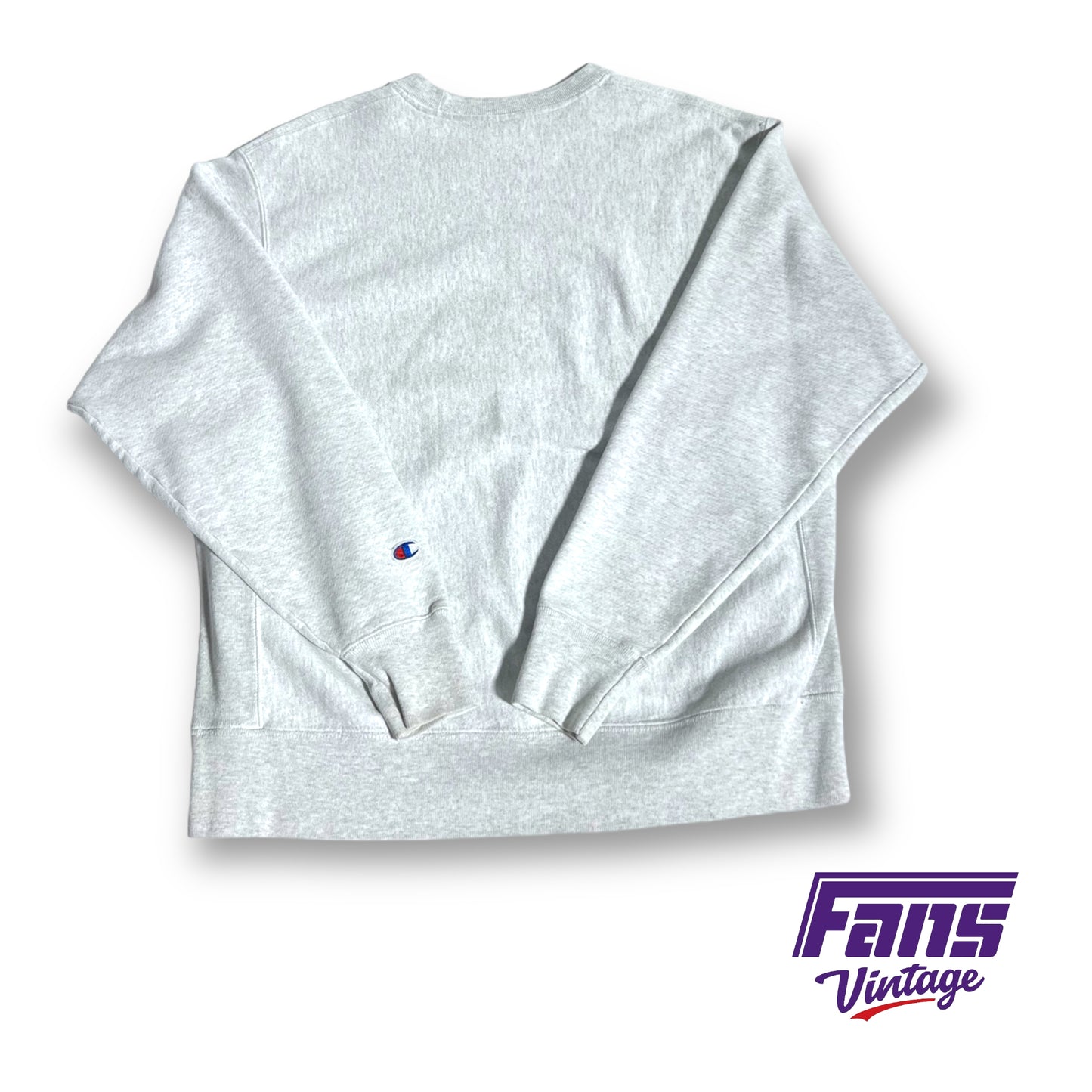 Vintage TCU Reverse weave Champion crewneck sweater