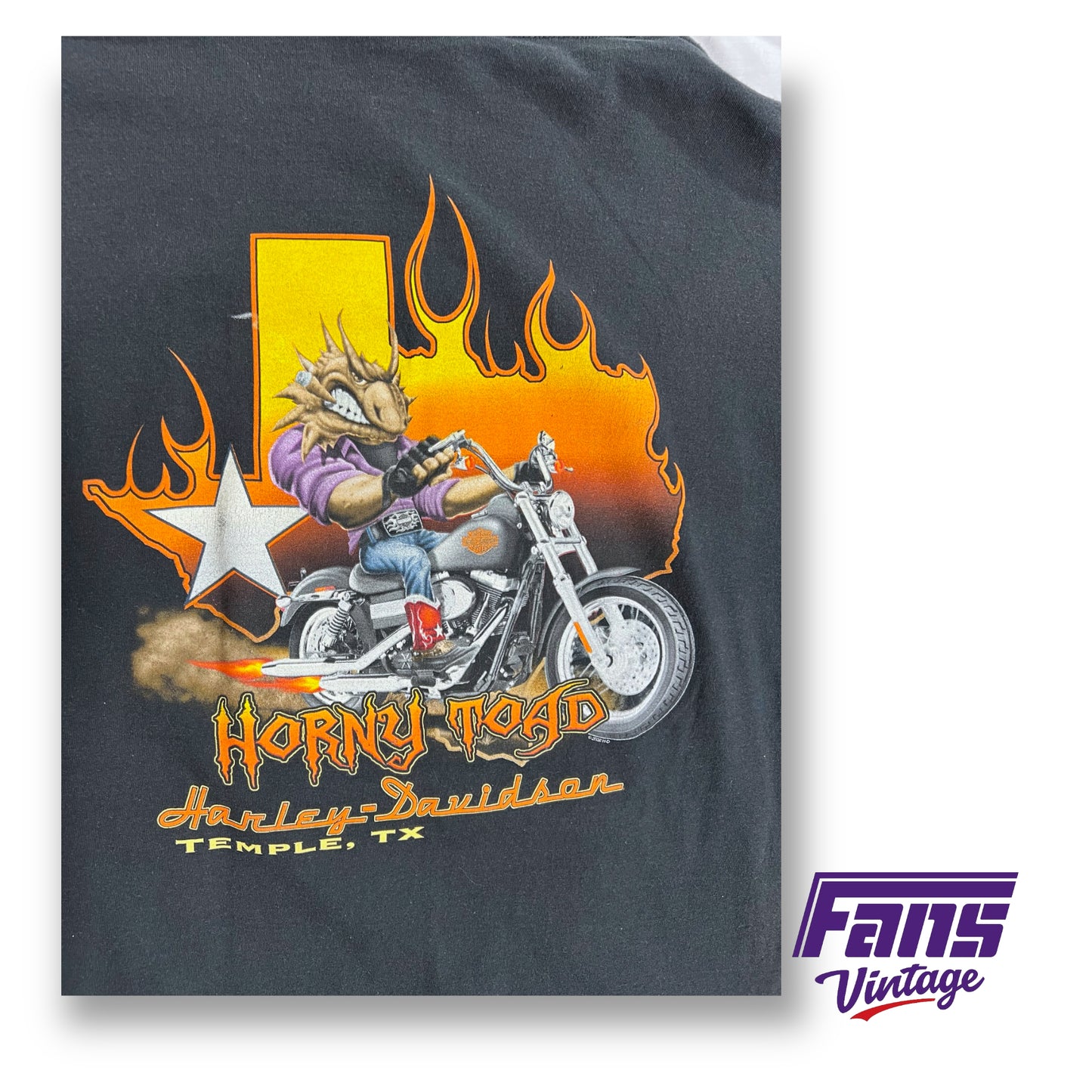 Vintage Harley Davidson 'pin up girl' Horny Toad t-shirt -double sided