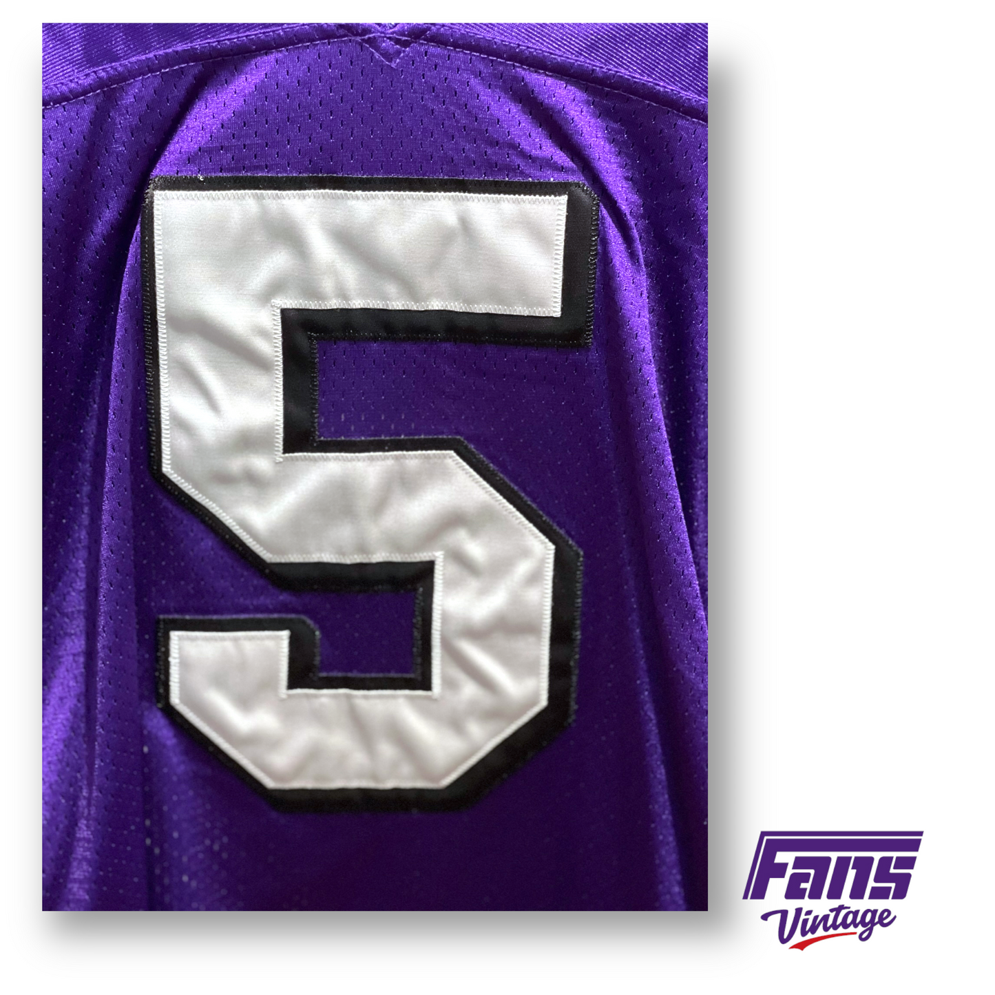 Vintage TCU Football 2000 Tomlinson Fully Stitched Alternate Jersey