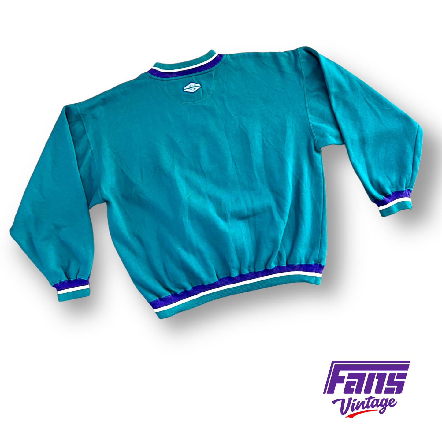 GORG! Purple & Teal 90s Vintage TCU Crewneck with EPIC Embroidery!