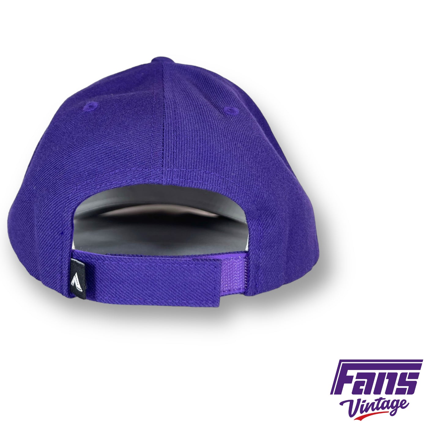 2017 TCU Alamo Bowl Champions hat