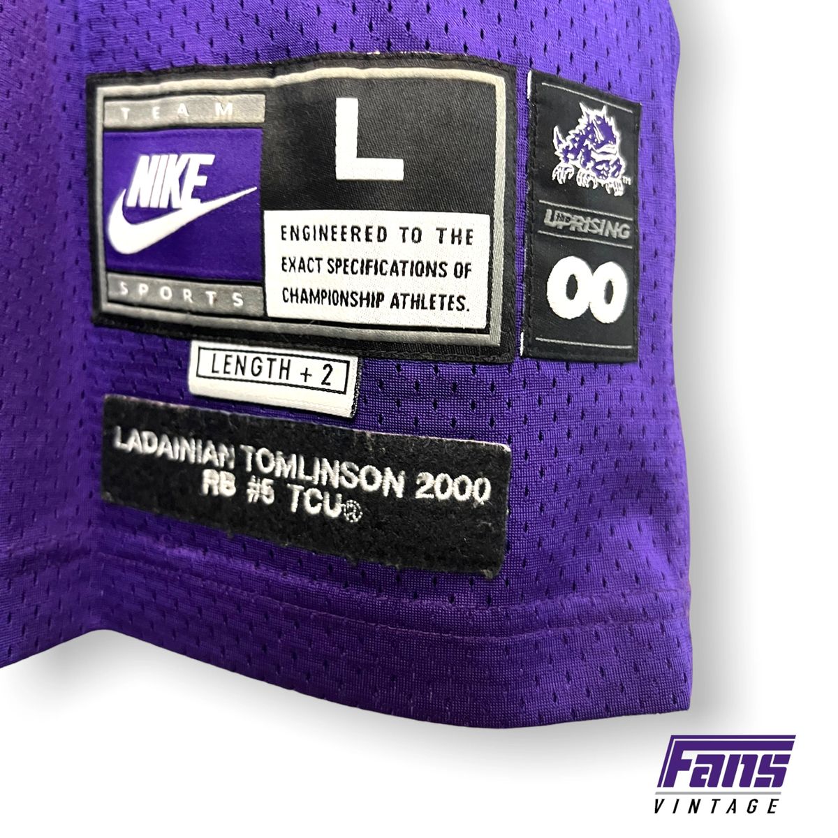 RARE - Nike 2000 Fully Stitched LaDainian Tomlinson Vintage TCU Football Jersey